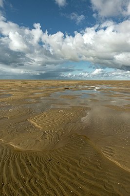BUITEN BEELD Foto: 350364