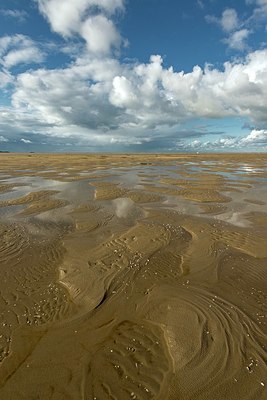 BUITEN BEELD Foto: 350365