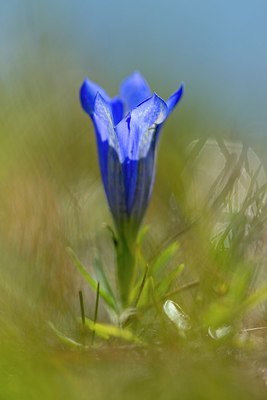 BUITEN BEELD Foto: 350389