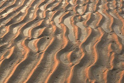 BUITEN BEELD Foto: 350397