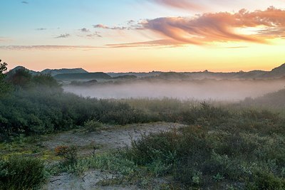 BUITEN BEELD Foto: 350589