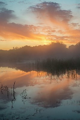BUITEN BEELD Foto: 350592