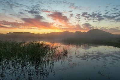 BUITEN BEELD Foto: 350595