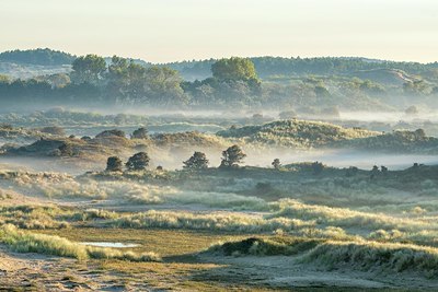 BUITEN BEELD Foto: 350599