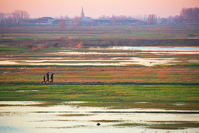 BUITEN BEELD Foto: 350691