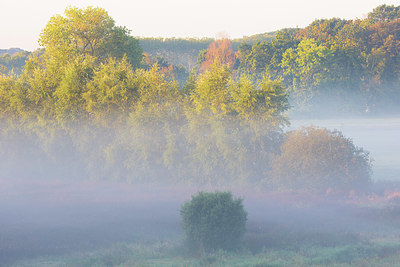 BUITEN BEELD Foto: 350704