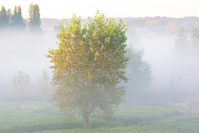 BUITEN BEELD Foto: 350706