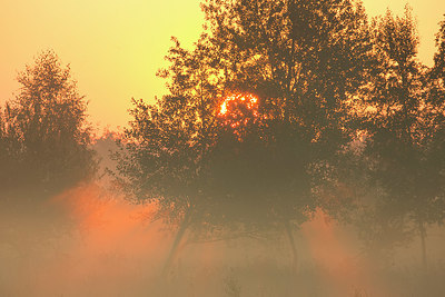 BUITEN BEELD Foto: 350721