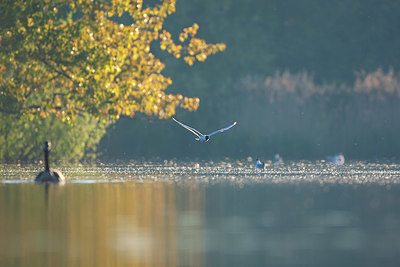 BUITEN BEELD Foto: 350765