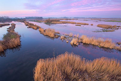 BUITEN BEELD Foto: 350779