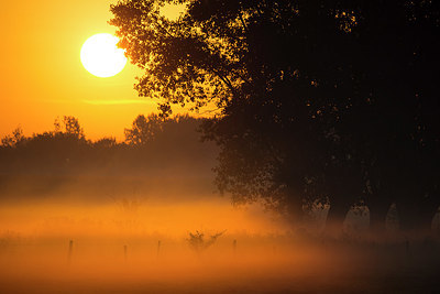BUITEN BEELD Foto: 350782