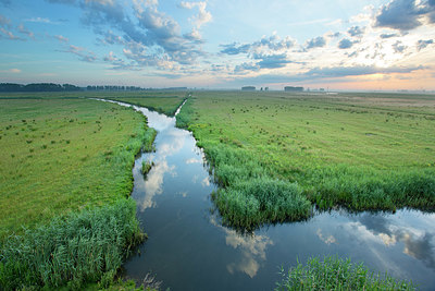 BUITEN BEELD Foto: 350793