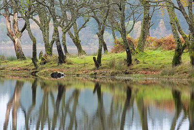 BUITEN BEELD Foto: 350798