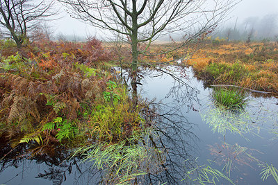 BUITEN BEELD Foto: 350802