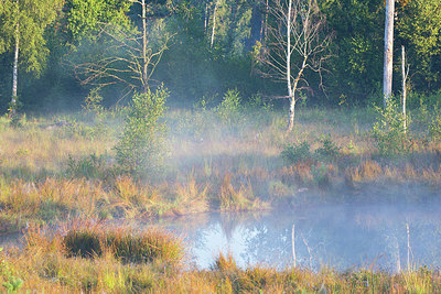 BUITEN BEELD Foto: 350811