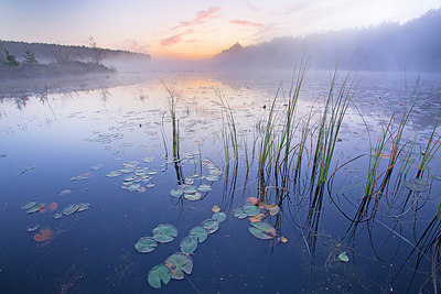 BUITEN BEELD Foto: 350821