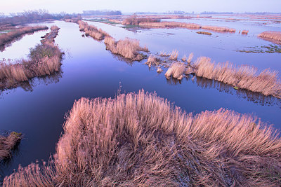 BUITEN BEELD Foto: 350834