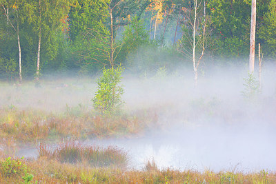 BUITEN BEELD Foto: 350849