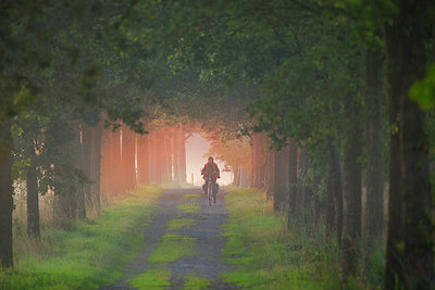 BUITEN BEELD Foto: 350874