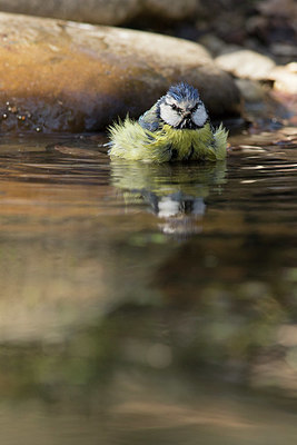 BUITEN BEELD Foto: 351253