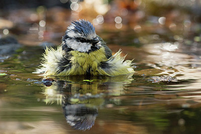 BUITEN BEELD Foto: 351255