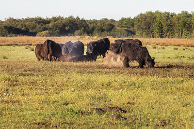 BUITEN BEELD Foto: 351299