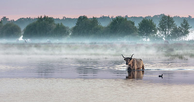 BUITEN BEELD Foto: 351308