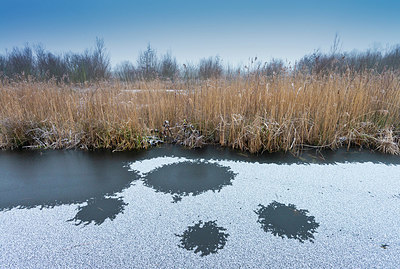 BUITEN BEELD Foto: 351461
