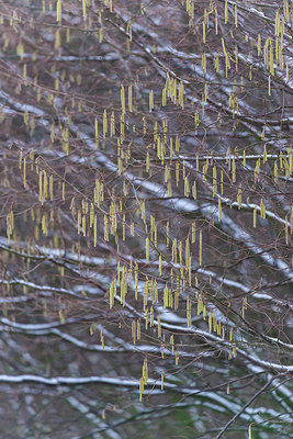 BUITEN BEELD Foto: 351532
