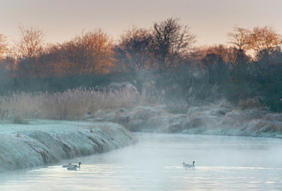 BUITEN BEELD Foto: 351571