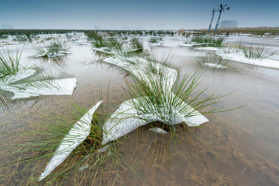 BUITEN BEELD Foto: 351628
