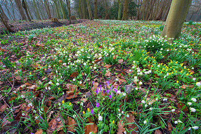 BUITEN BEELD Foto: 351661