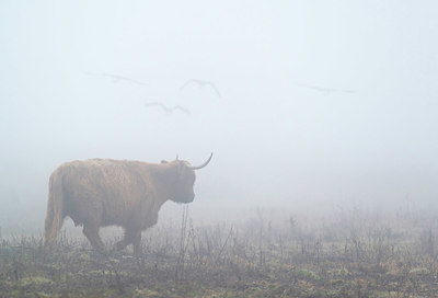 BUITEN BEELD Foto: 351670