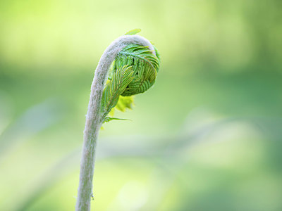 BUITEN BEELD Foto: 351690