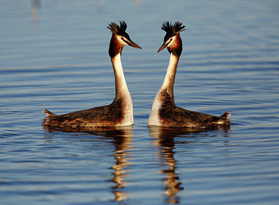 BUITEN BEELD Foto: 351780