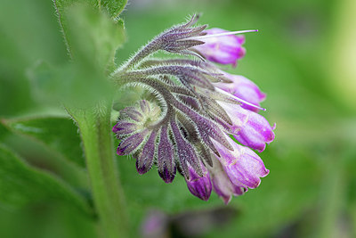 BUITEN BEELD Foto: 351905