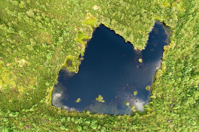BUITEN BEELD Foto: 351944