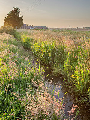 BUITEN BEELD Foto: 352029
