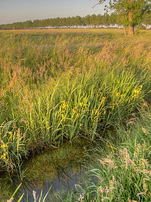 BUITEN BEELD Foto: 352031