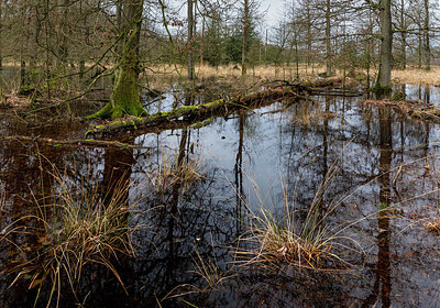 BUITEN BEELD Foto: 352059