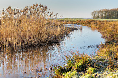 BUITEN BEELD Foto: 352064