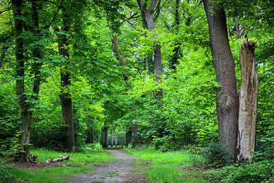BUITEN BEELD Foto: 352118