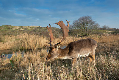 BUITEN BEELD Foto: 352203