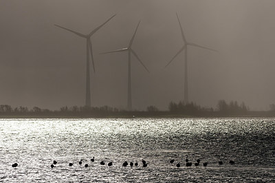 BUITEN BEELD Foto: 352209