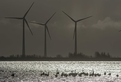 BUITEN BEELD Foto: 352217