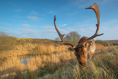 BUITEN BEELD Foto: 352222