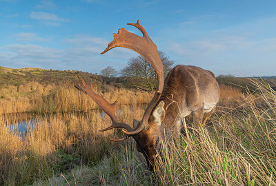 BUITEN BEELD Foto: 352231