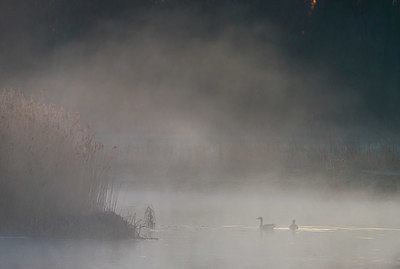 BUITEN BEELD Foto: 352276
