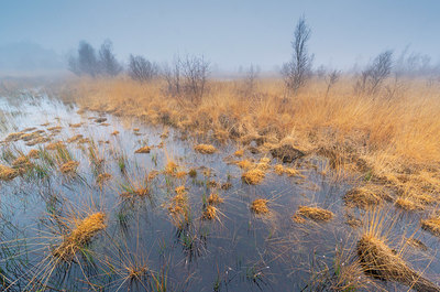 BUITEN BEELD Foto: 352354