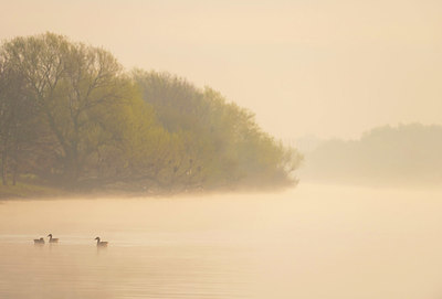 BUITEN BEELD Foto: 352357